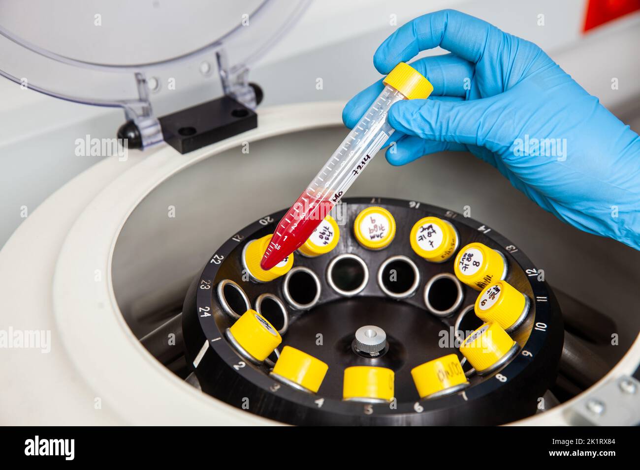 Scientist inserting a tube with a blood sample in a laboratory ...