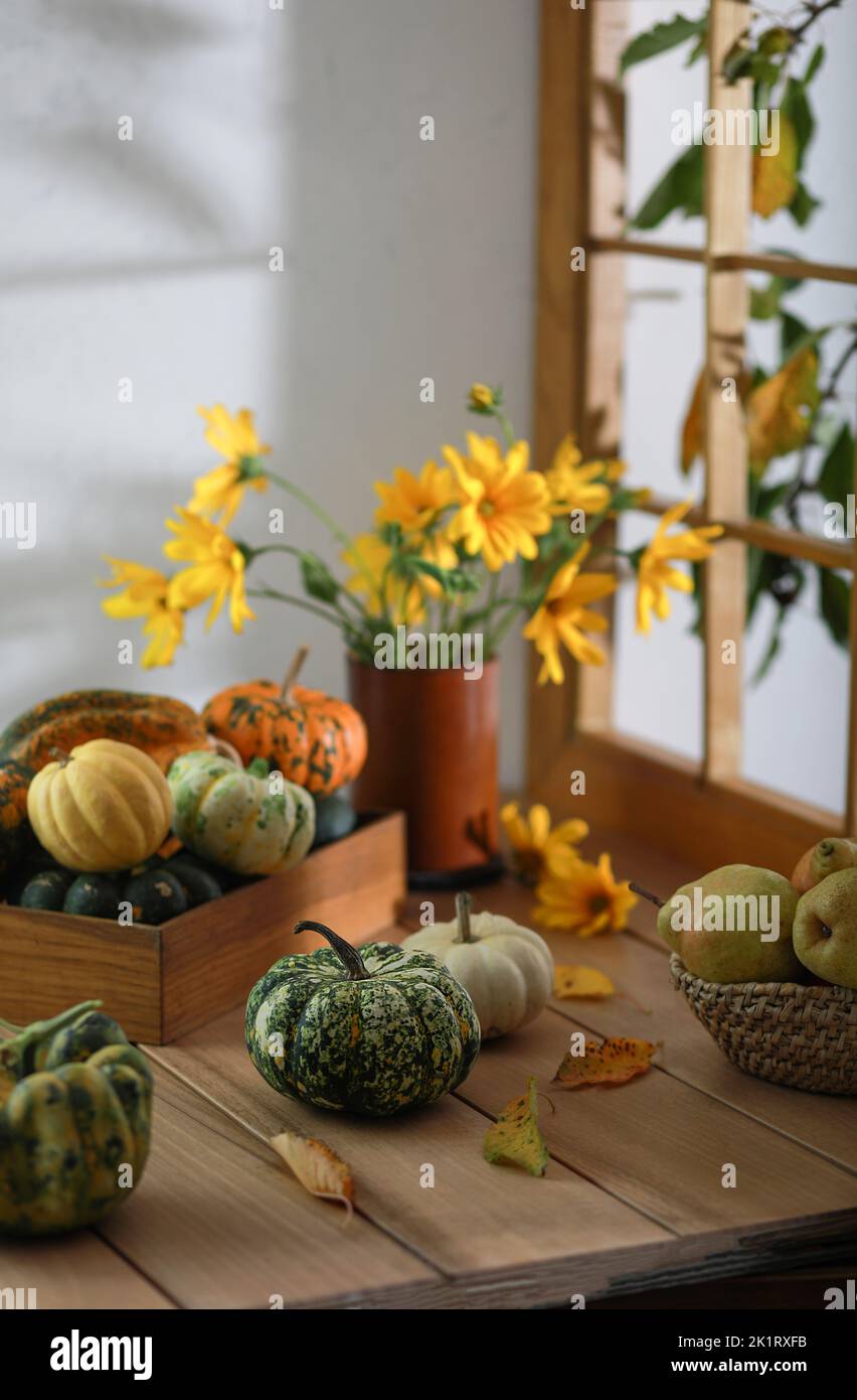 Autumn composition of little pumpkins and bouquet of yellow flowers on ...
