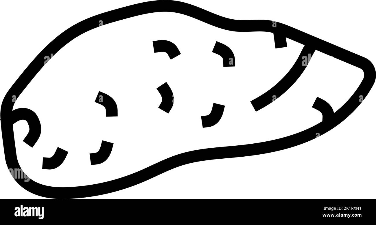 sweet yam potato line icon vector illustration Stock Vector Image & Art