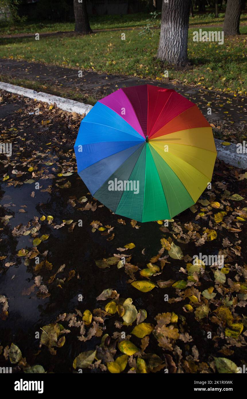 colorful umbrella of rainbow colors stands on the pavement, wet from the rain, strewn with autumn yellow-orange leaves. autumn mood. symbol of the rai Stock Photo