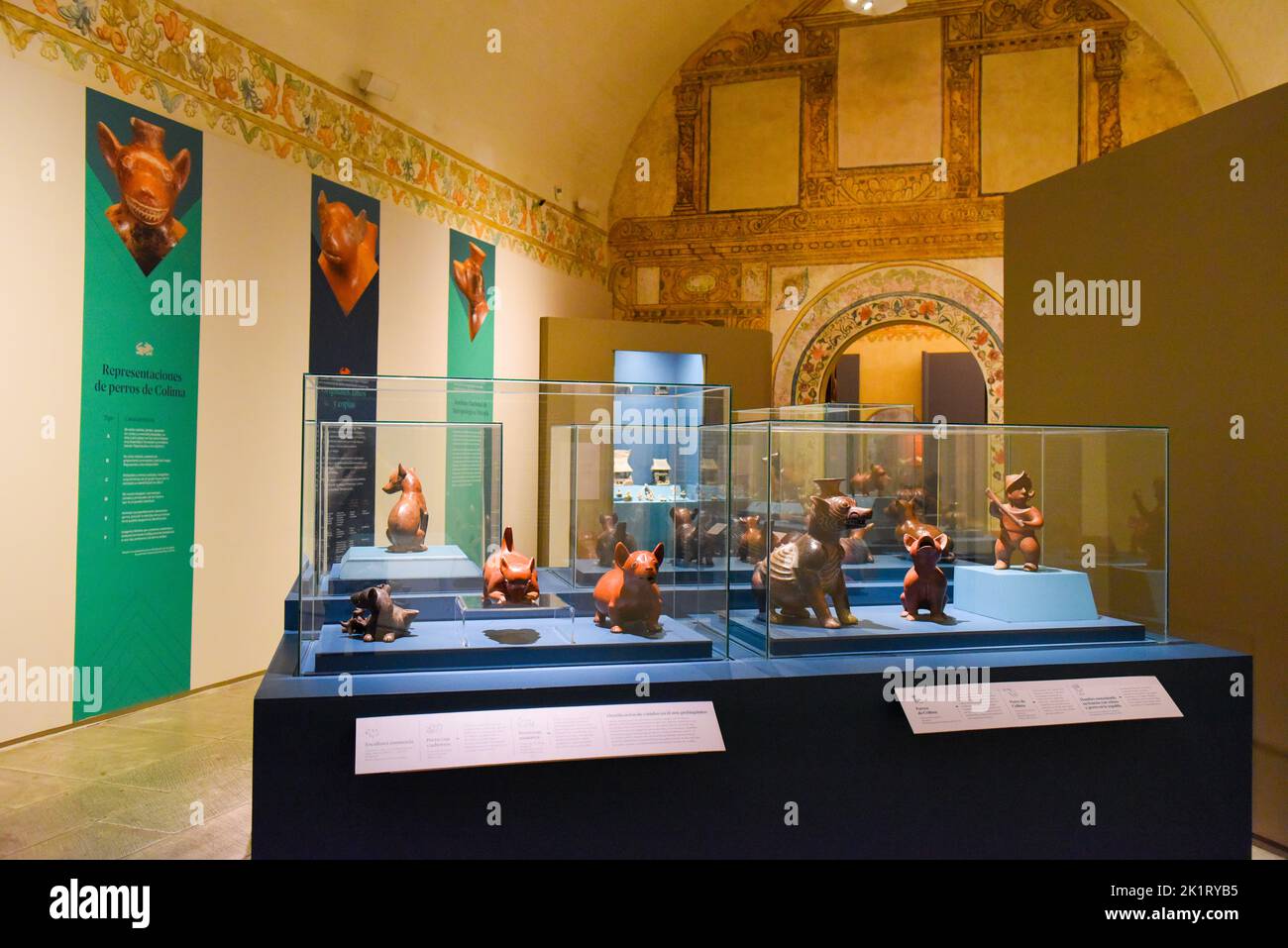 Xolos, fellow travelers, an exhibit that provides an overview of Mexico's local dog breeds through history at the Museo de las Culturas, Oaxaca de Juarez, Mexico Stock Photo