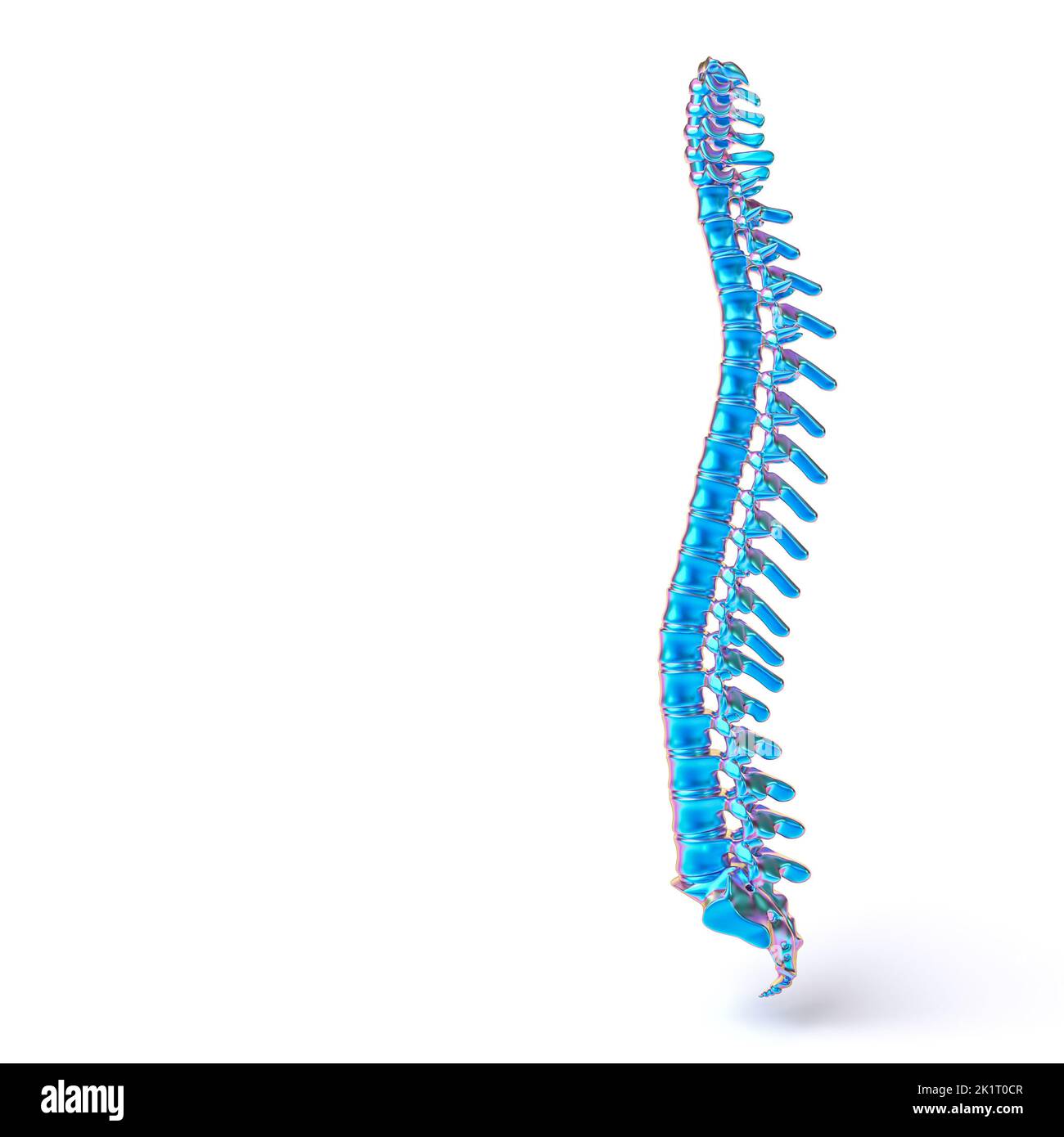 metallic iridescent human body spine on white background. 3d render Stock Photo