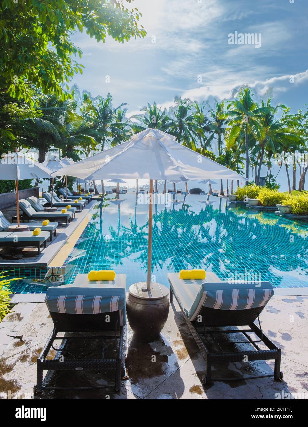 tropical pool with palm trees and beach bed chairs at a luxury resort ...