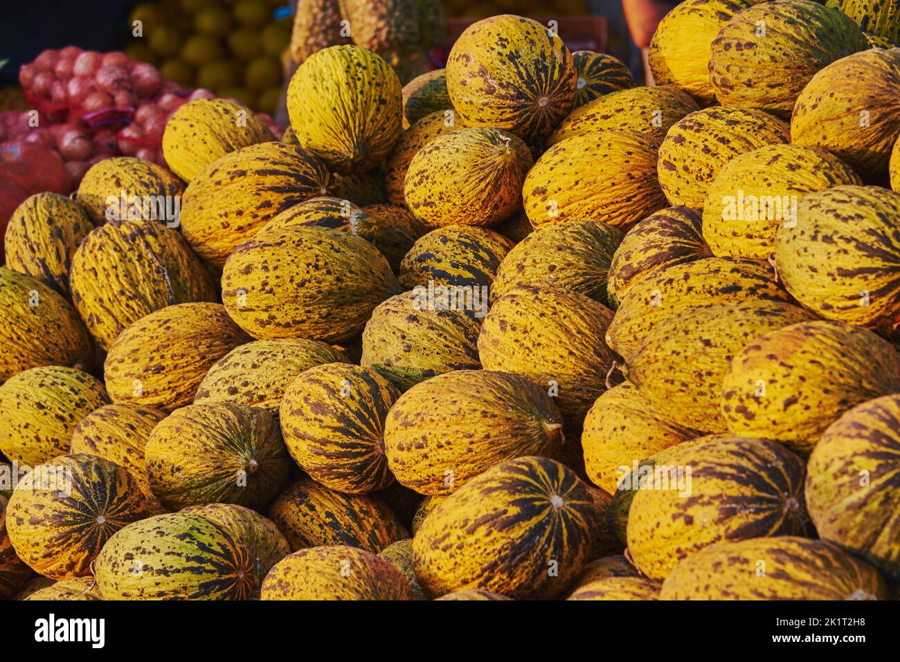 Melons piled in a heap on the market. The fruits are illuminated by the evening setting sun. Stock Photo