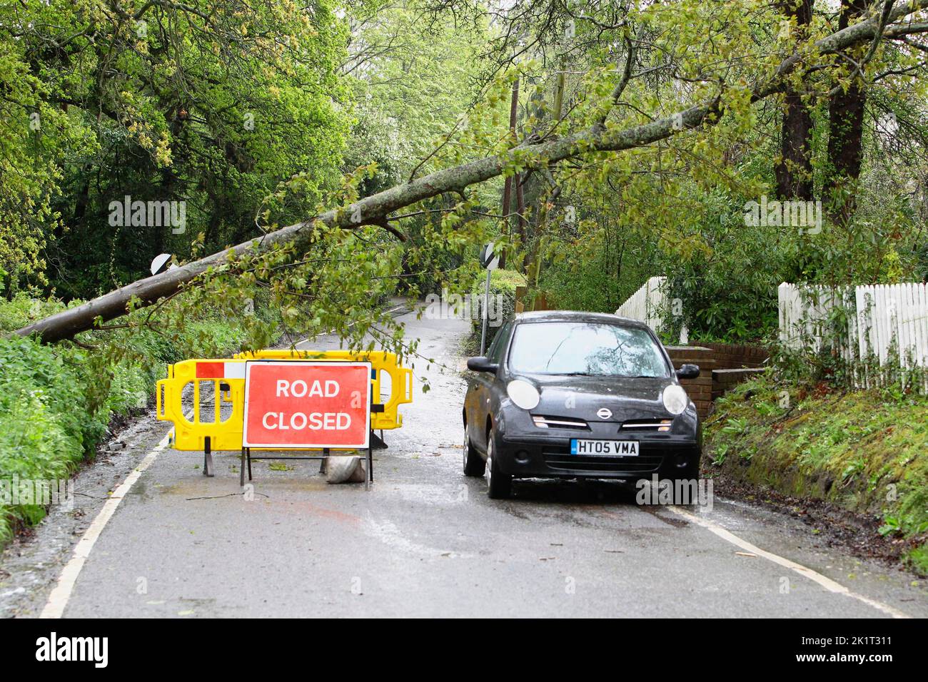 England, Kent, Fallen Tree blocking country road wi9th ropad closed sign to warn motorists. Stock Photo