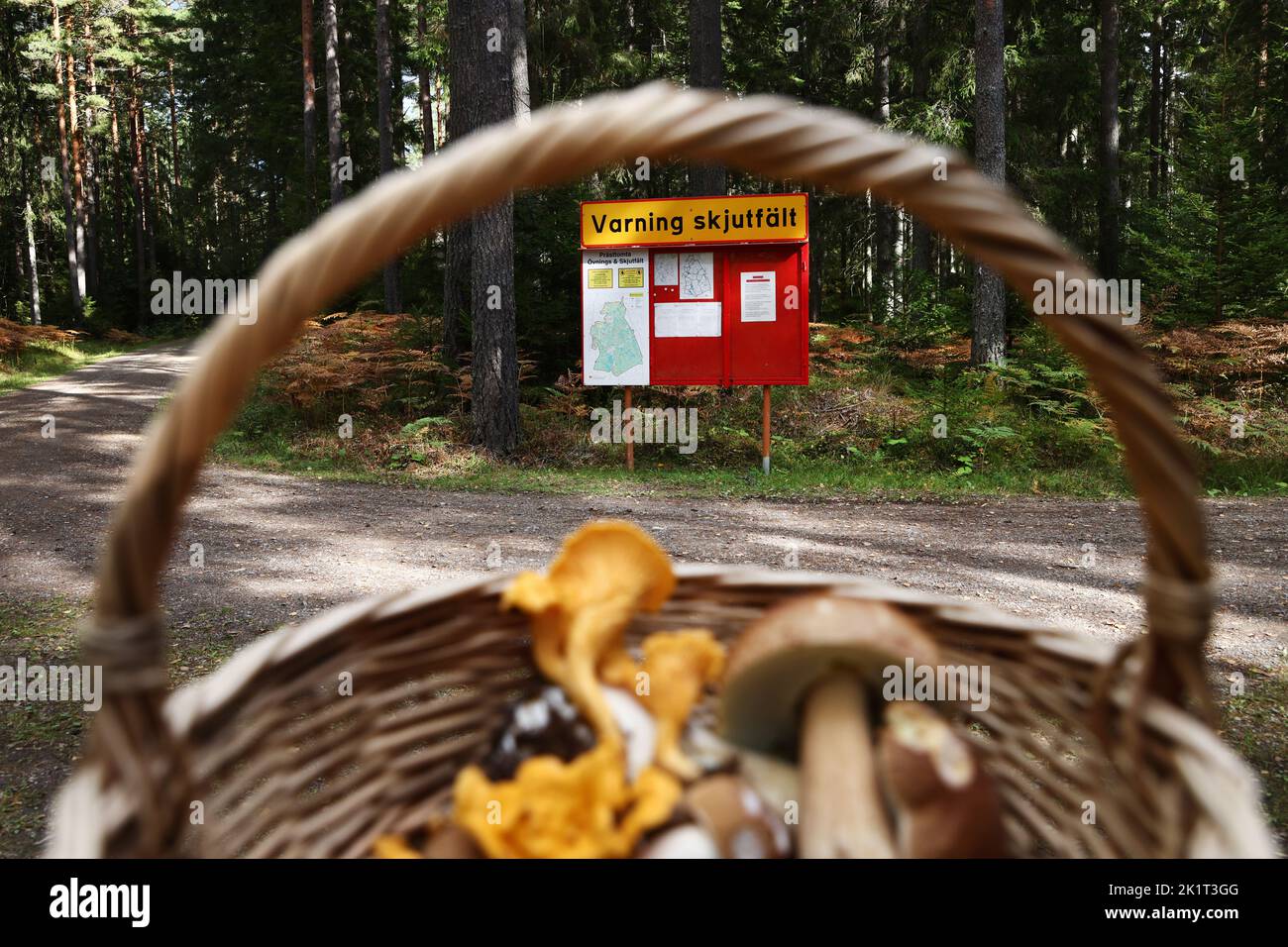 Kvarn's firing range (In Swedish: Kvarns skjutfält), Kvarn, Sweden. In the picture: Signs warning that it is a firing range. Private individuals who picked mushrooms at the site. Stock Photo