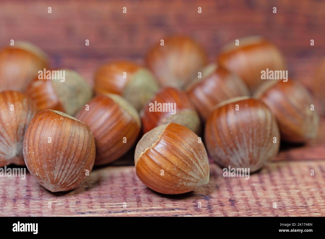 Hazelnuts in a close up Stock Photo