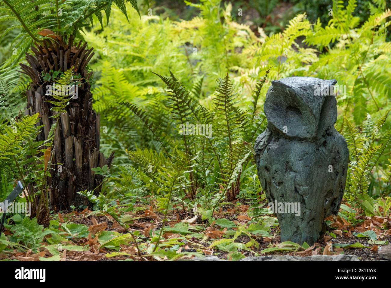 owl sculpture in amongst bright green fern fronds Stock Photo