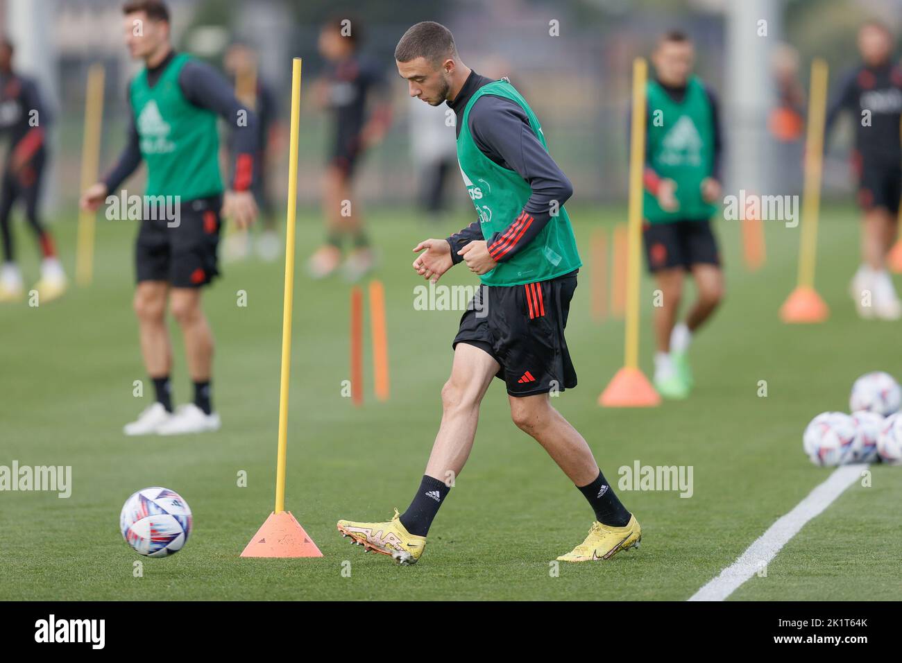 Zeno Debast training What Debast Brings to the Table—and What Belgium Loses Without Him