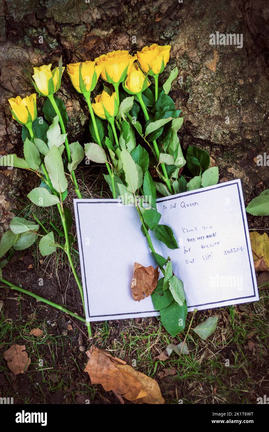 Flowers and thank you note near Buckingham palace, tribute in memory of Queen Elizabeth, London UK Stock Photo