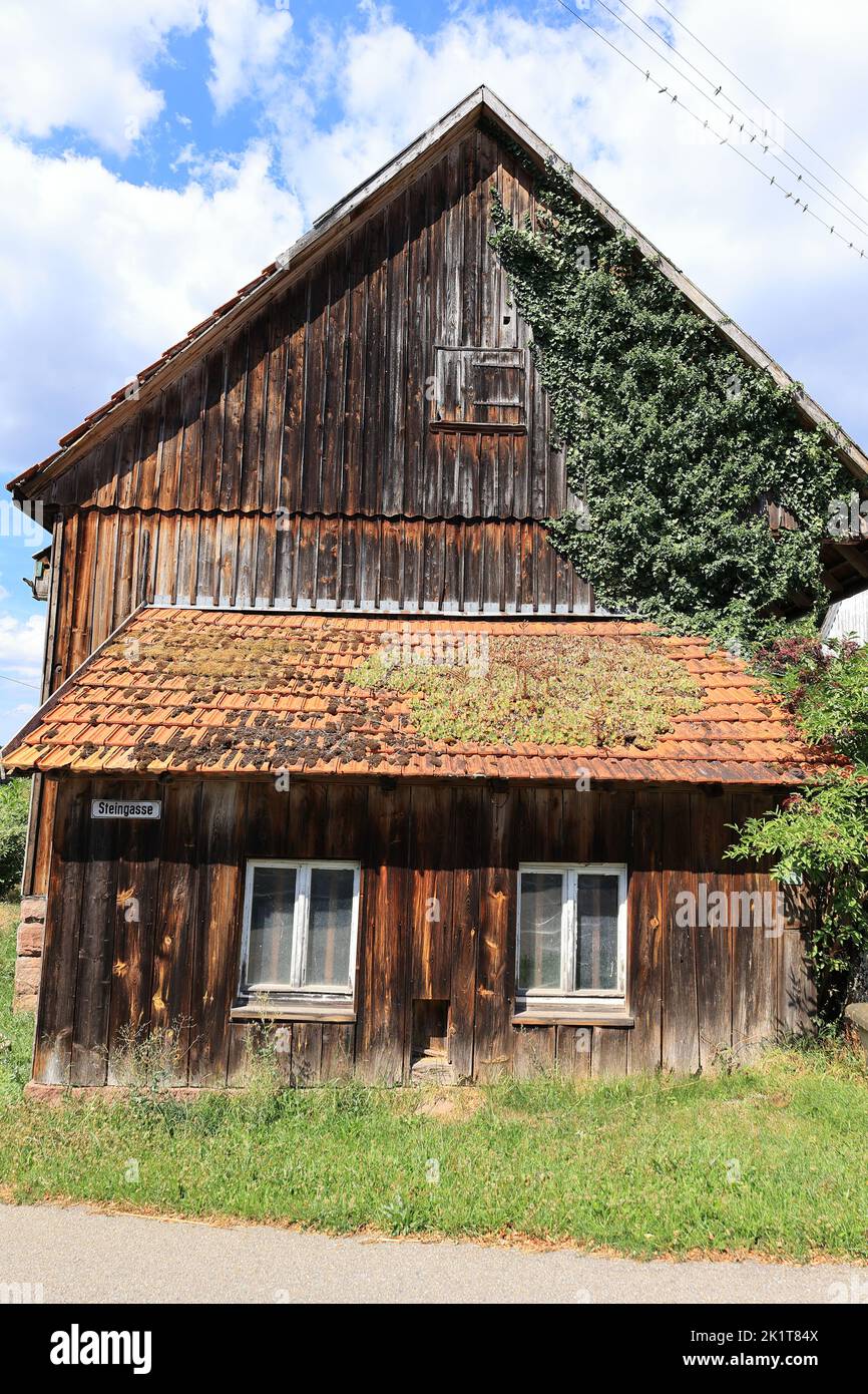 Wooden hut in a meadow near Zwerenberg in the Black Forest Stock Photo