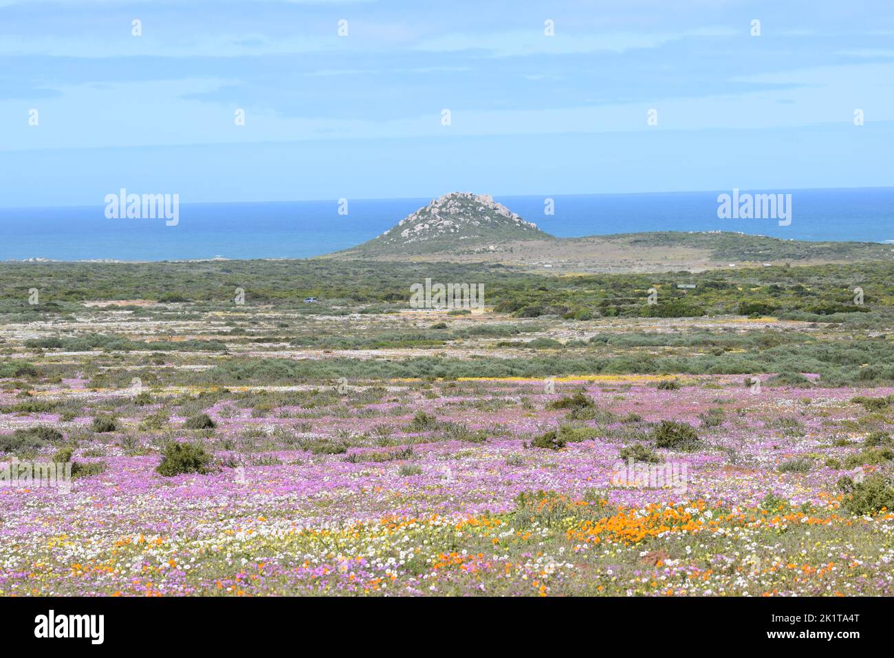 West Coast National Park Stock Photo Alamy