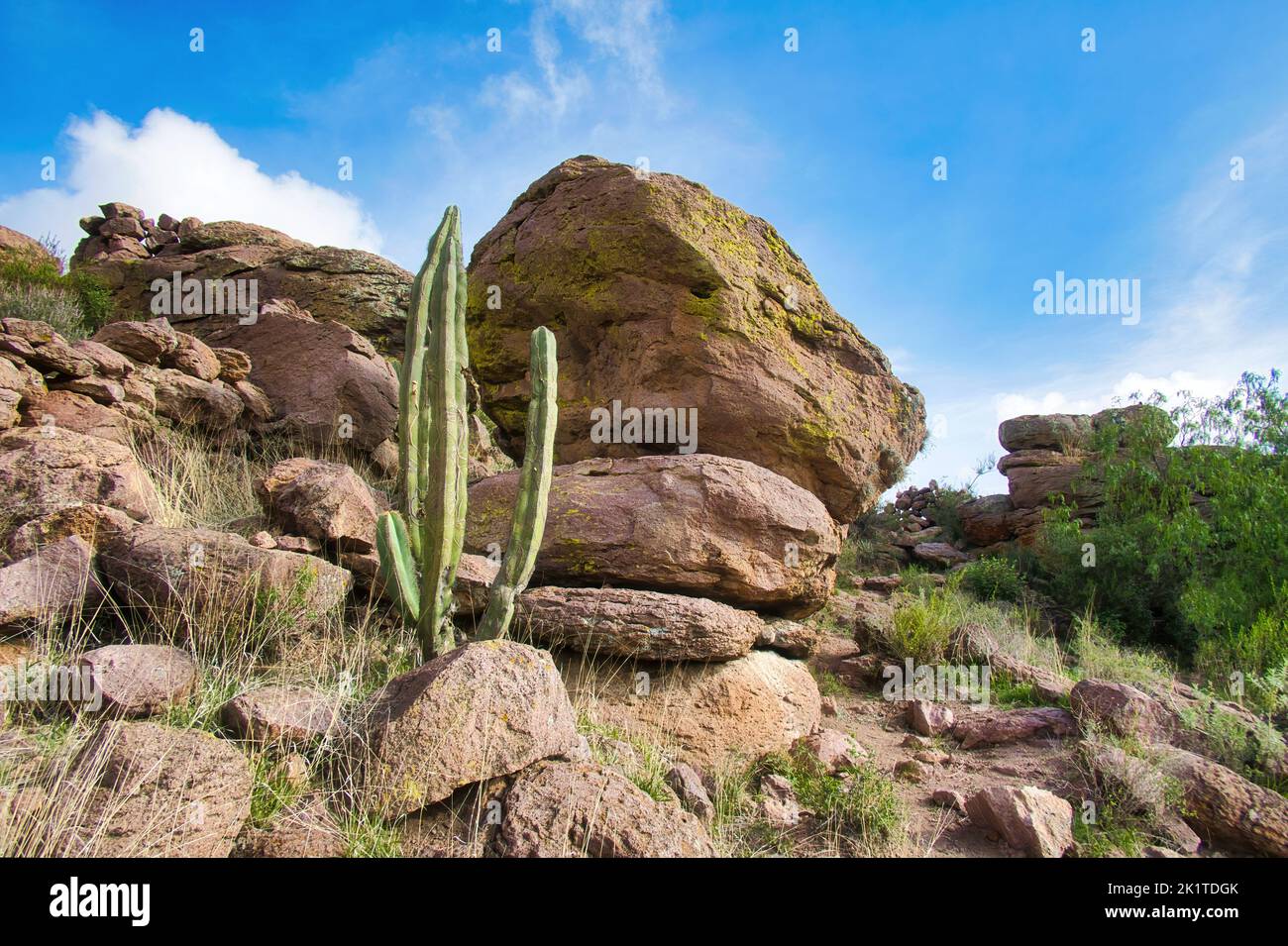 Mexican desert landscape with stones and cactus to background Stock ...