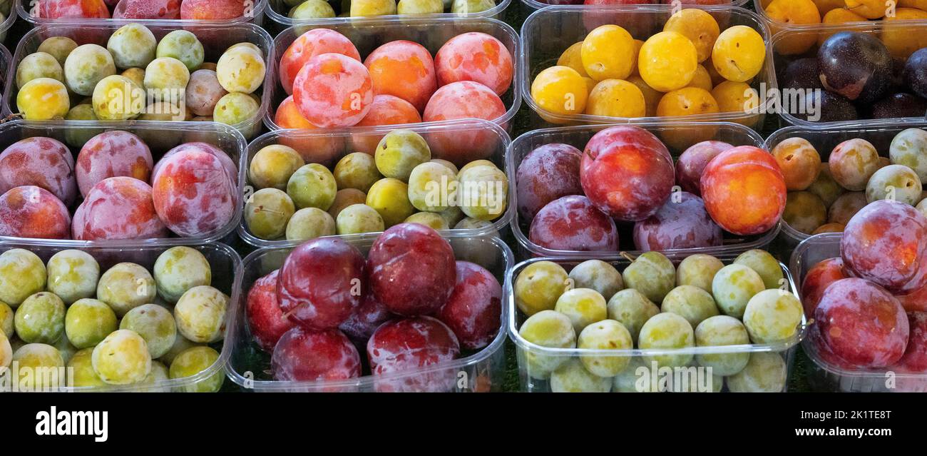 Plums stall in the market of Sanary-sur-mer, France Stock Photo
