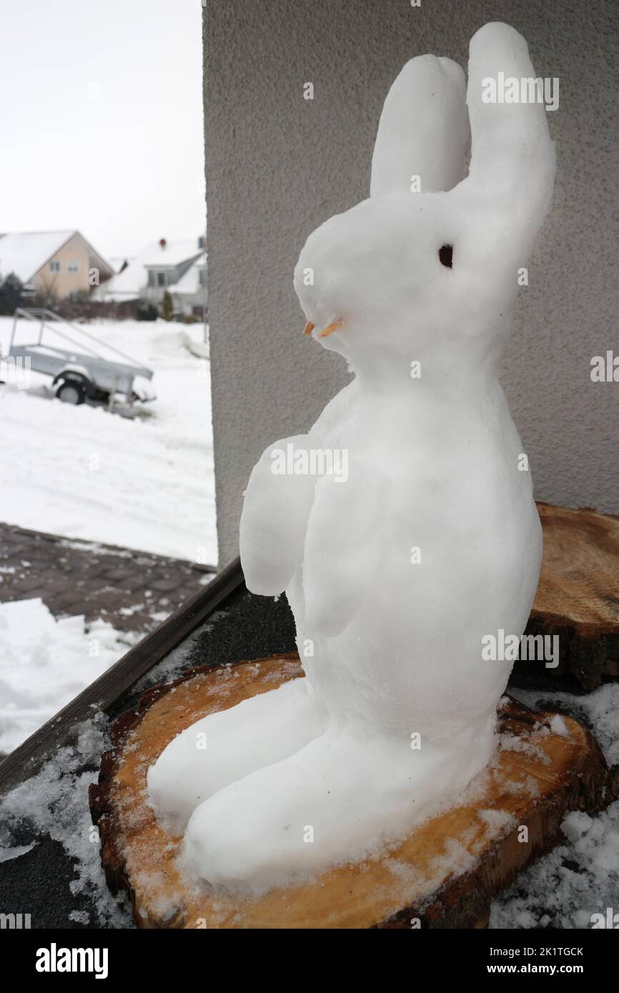 Snow bunny on a slice of wood Stock Photo