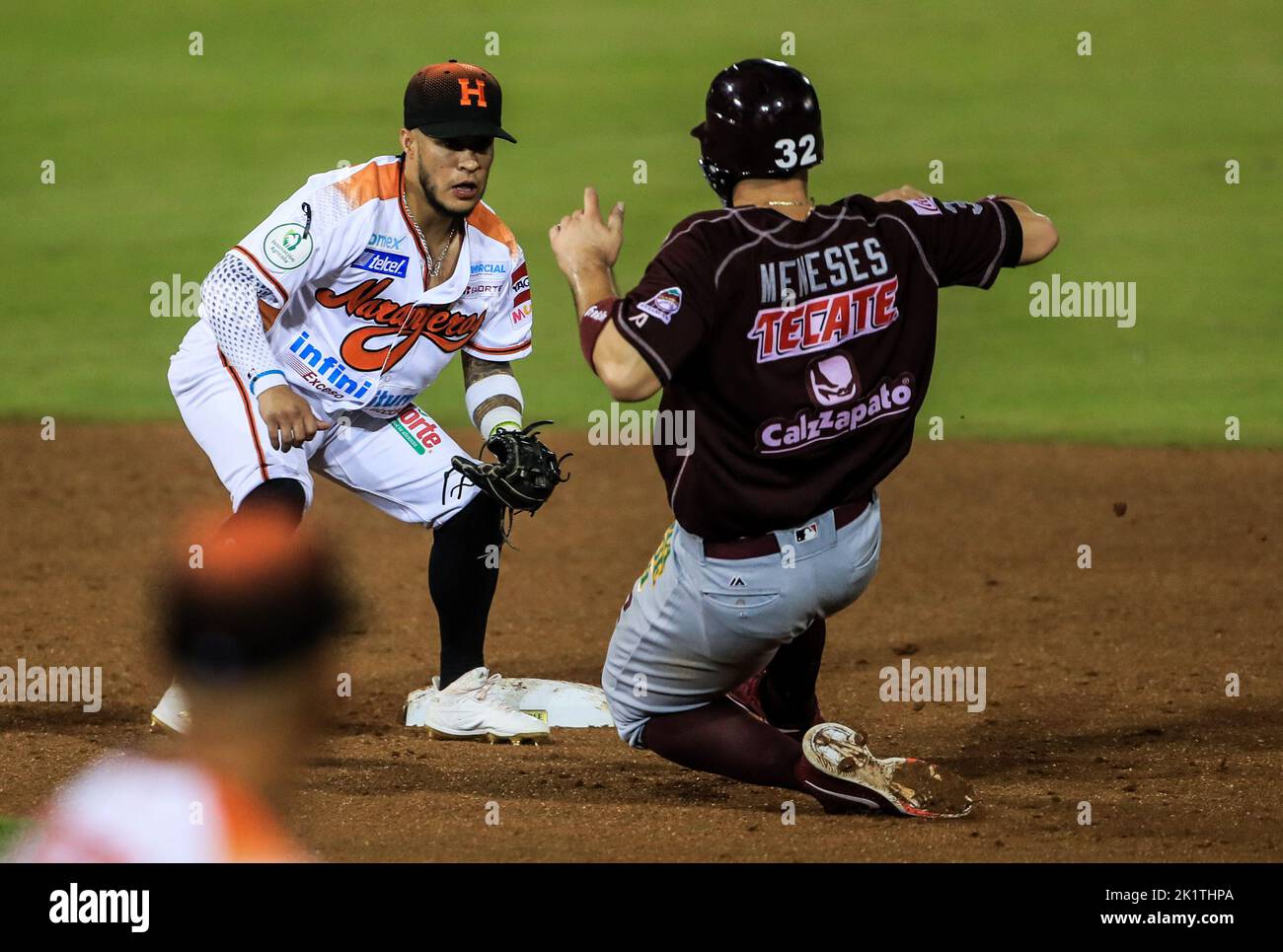 Jorge flores hi-res stock photography and images - Page 6 - Alamy Jorge flores hi-res stock photography and images - Page 6 - Alamy