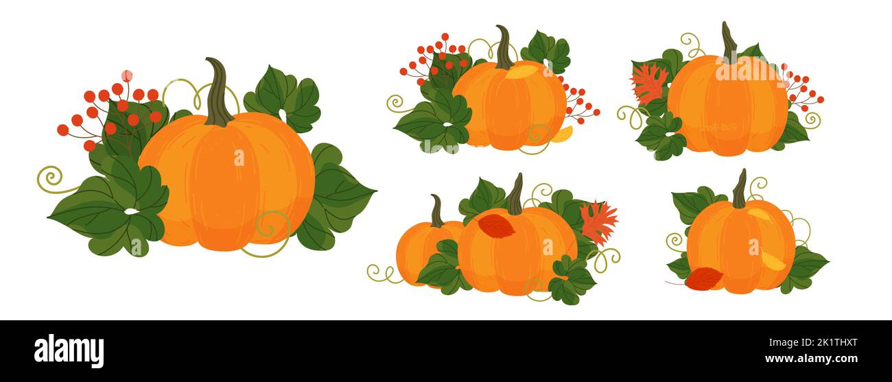 Pumpkin set in cartoon style. Autumn Pumpkins vector illustration with leaves isolated on white background. Orange cartoon pumpkins for fall decoratio Stock Vector