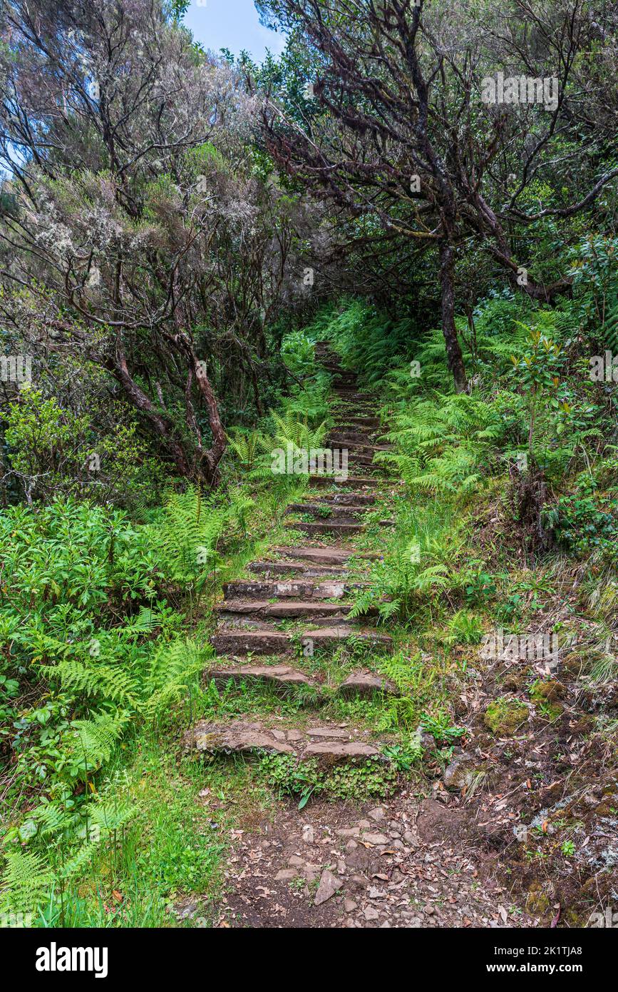 Vereda do Encumeada hiking trail above Encumeada mountain pass in Madeira Stock Photo