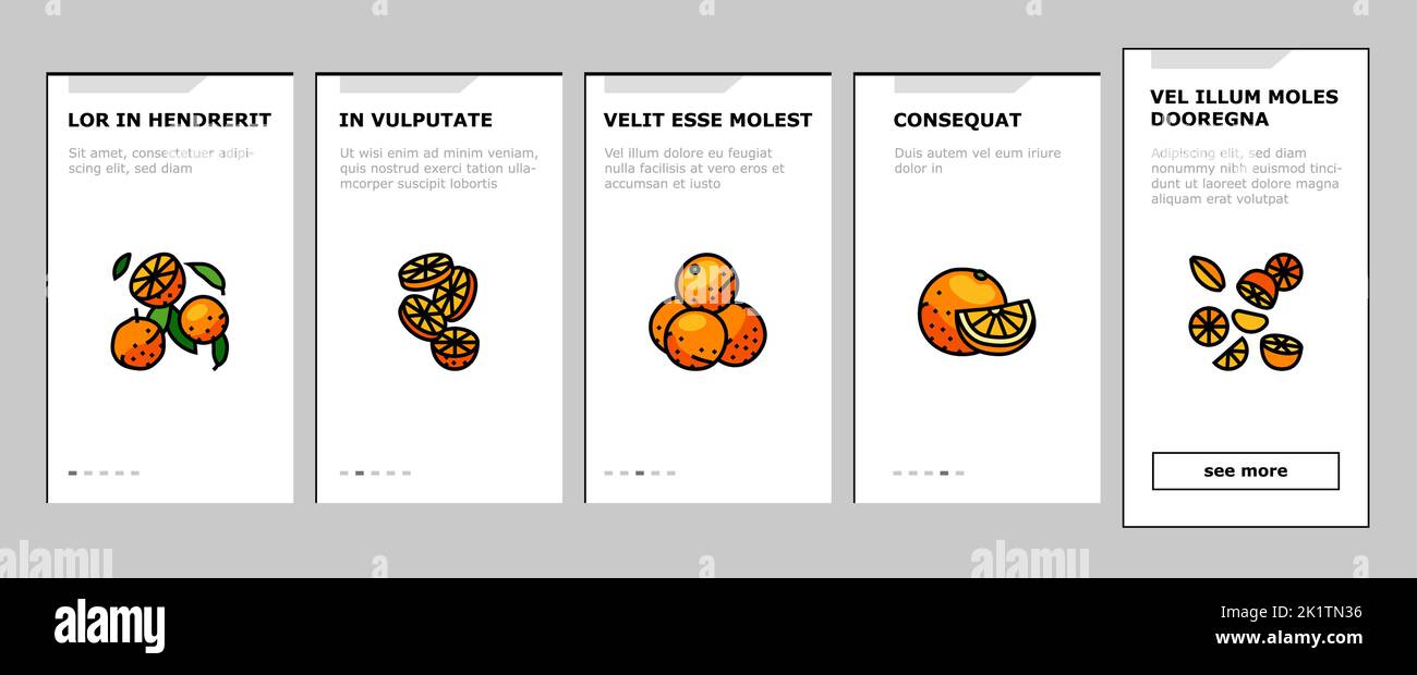 orange citrus fresh slice juice onboarding icons set vector Stock ...