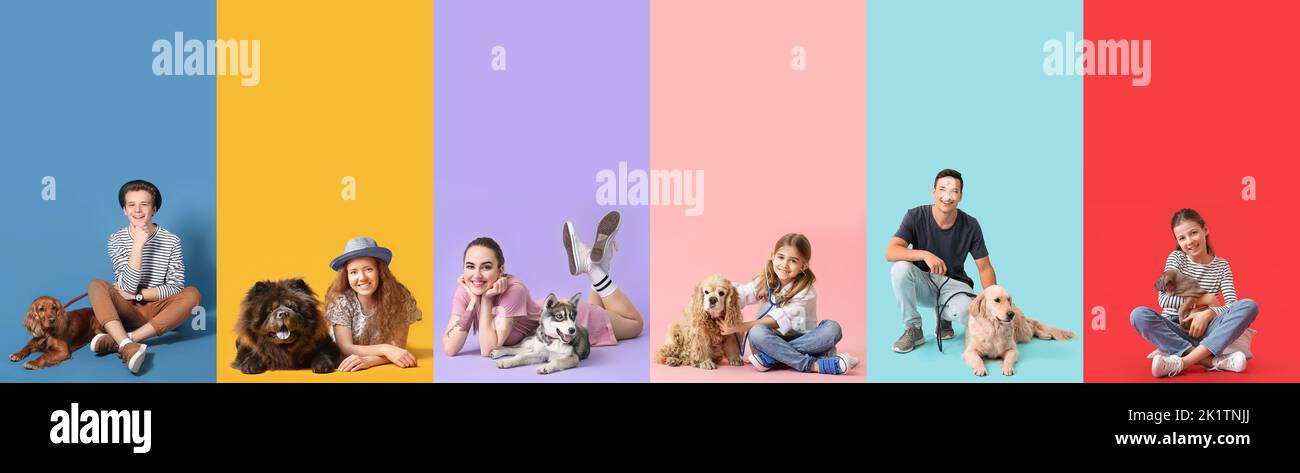 Set of people with their dogs on colorful background Stock Photo