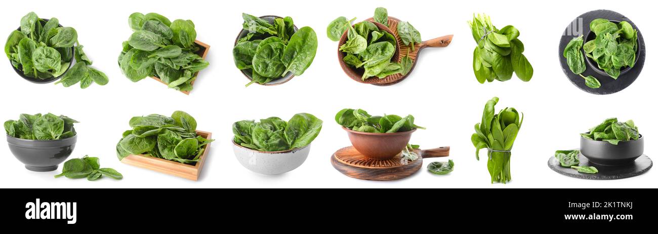 Collage of fresh spinach leaves on white background Stock Photo - Alamy