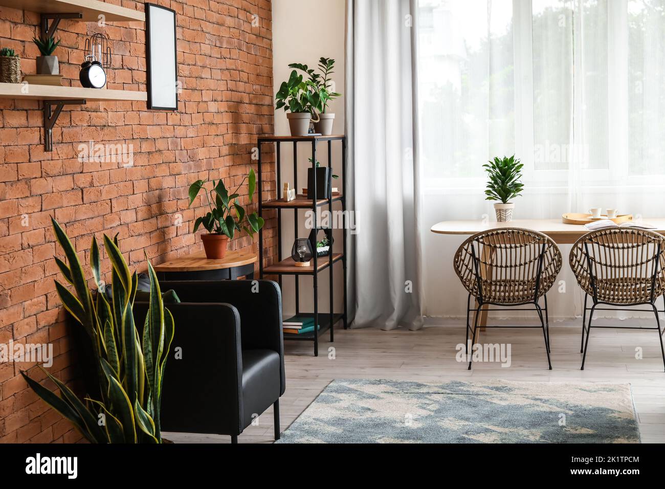 Interior of stylish room with houseplants, dining table and shelving ...