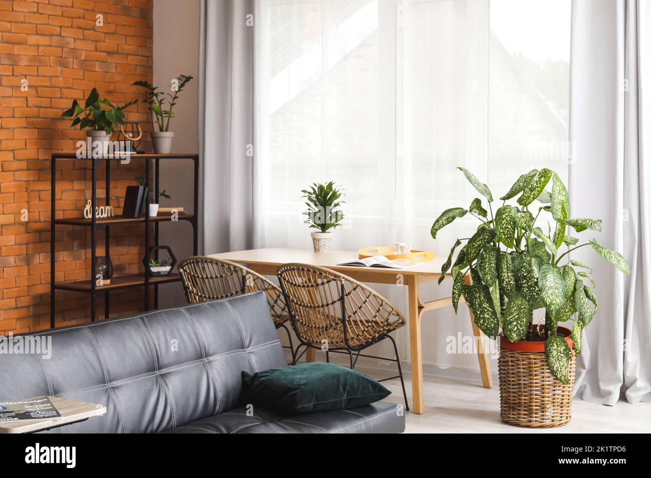 Interior of stylish room with houseplants, dining table and shelving ...
