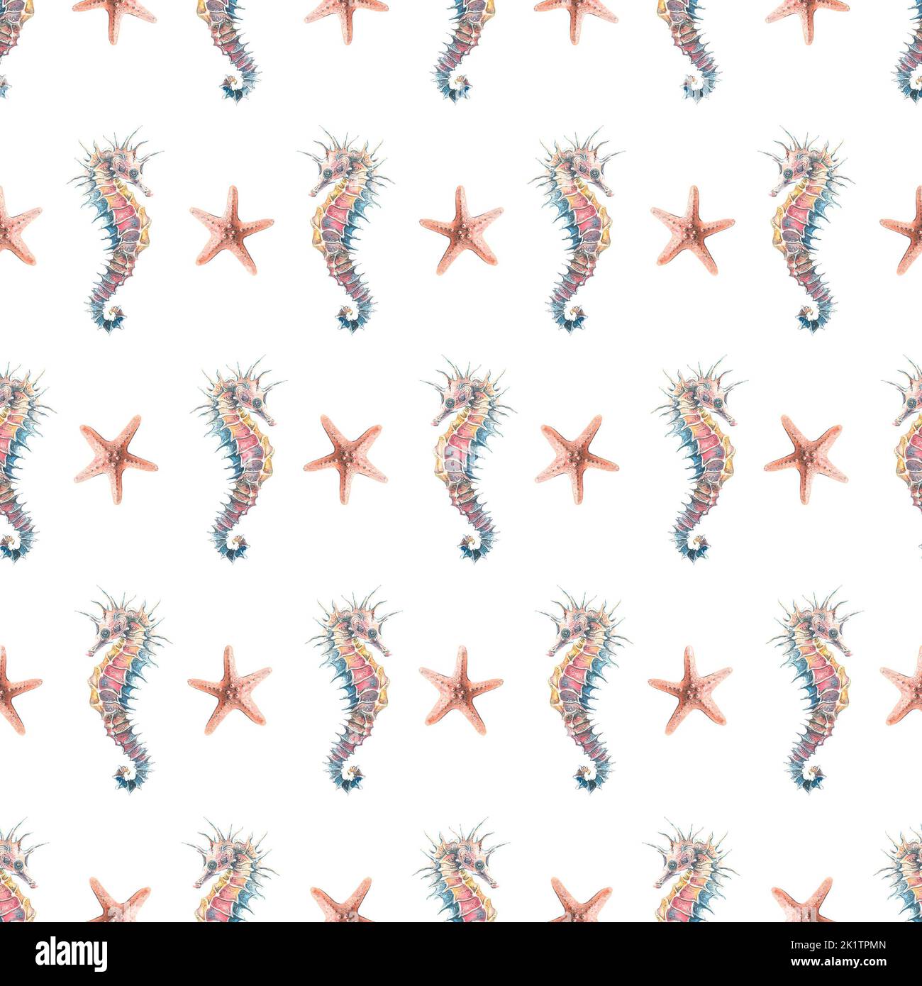 Seahorse and starfish on a white background, seamless pattern, marine ...