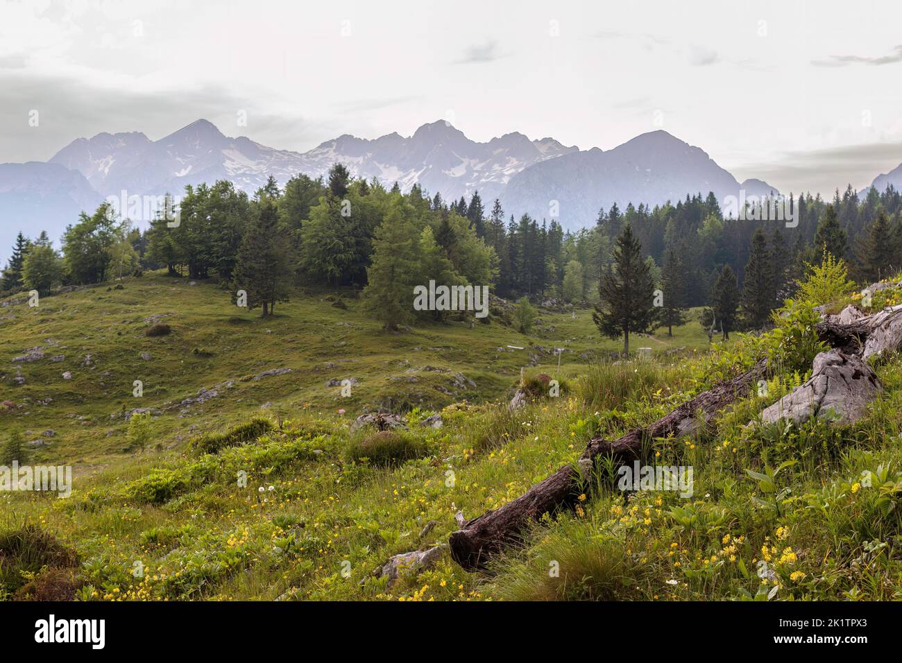 Velika planina, big pasture plateau in Slovenia, Europe Stock Photo