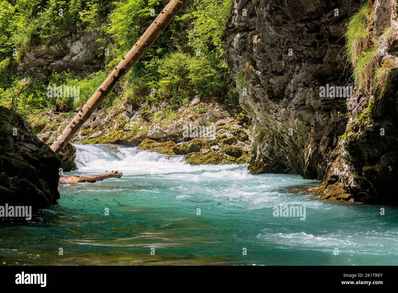 Soteska Vintgar, Vintgar gorge near Bled, Slovenia, Europe Stock Photo