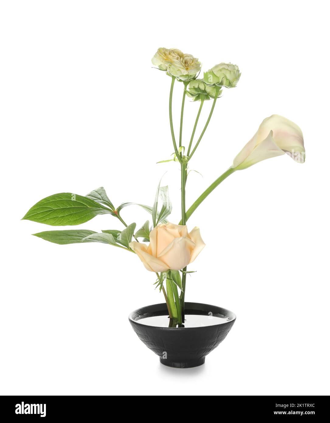 Bowl with beautiful ikebana on white background Stock Photo Alamy