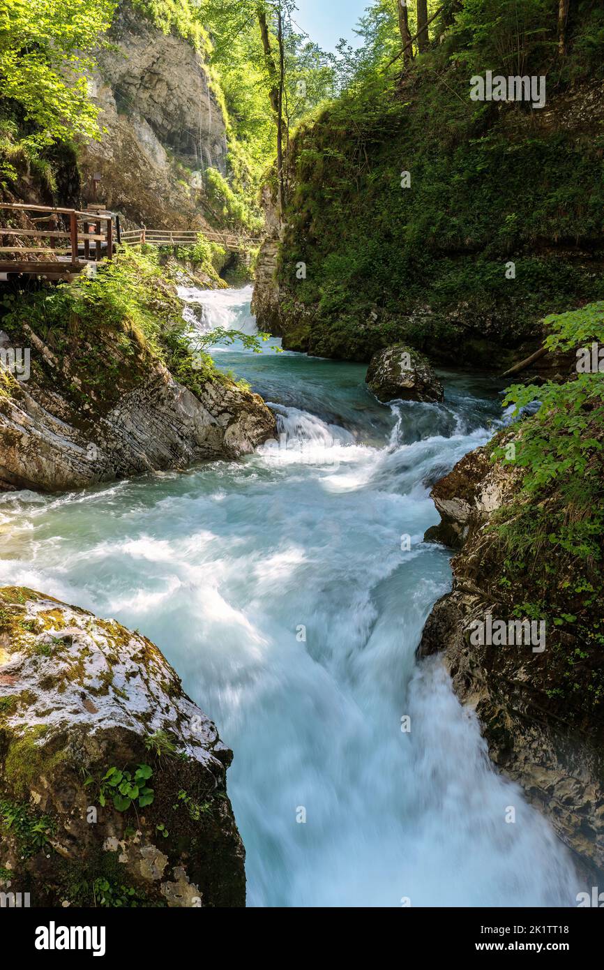 Soteska Vintgar, Vintgar gorge near Bled, Slovenia, Europe Stock Photo