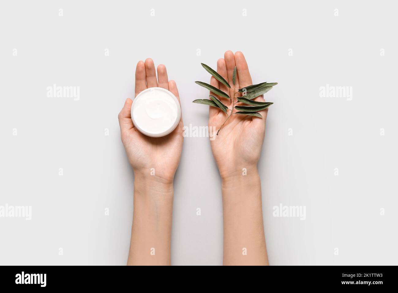 Hand holding olive branch hi-res stock photography and images - Alamy