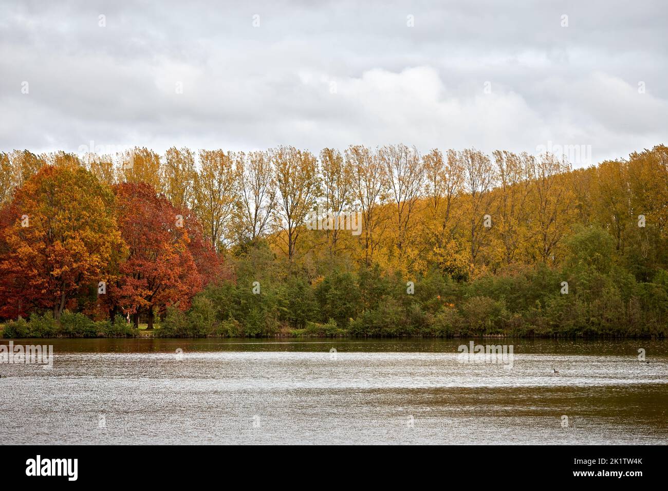Blaarmeersen lake during the fall in Ghent - Belgium Stock Photo