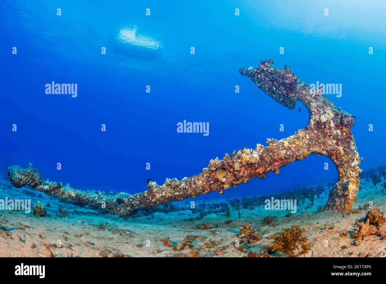 An old anchor rests on a sandy bottom off the island of Maui, Hawaii, USA. A boat on the surface attests to the clear waters. Stock Photo