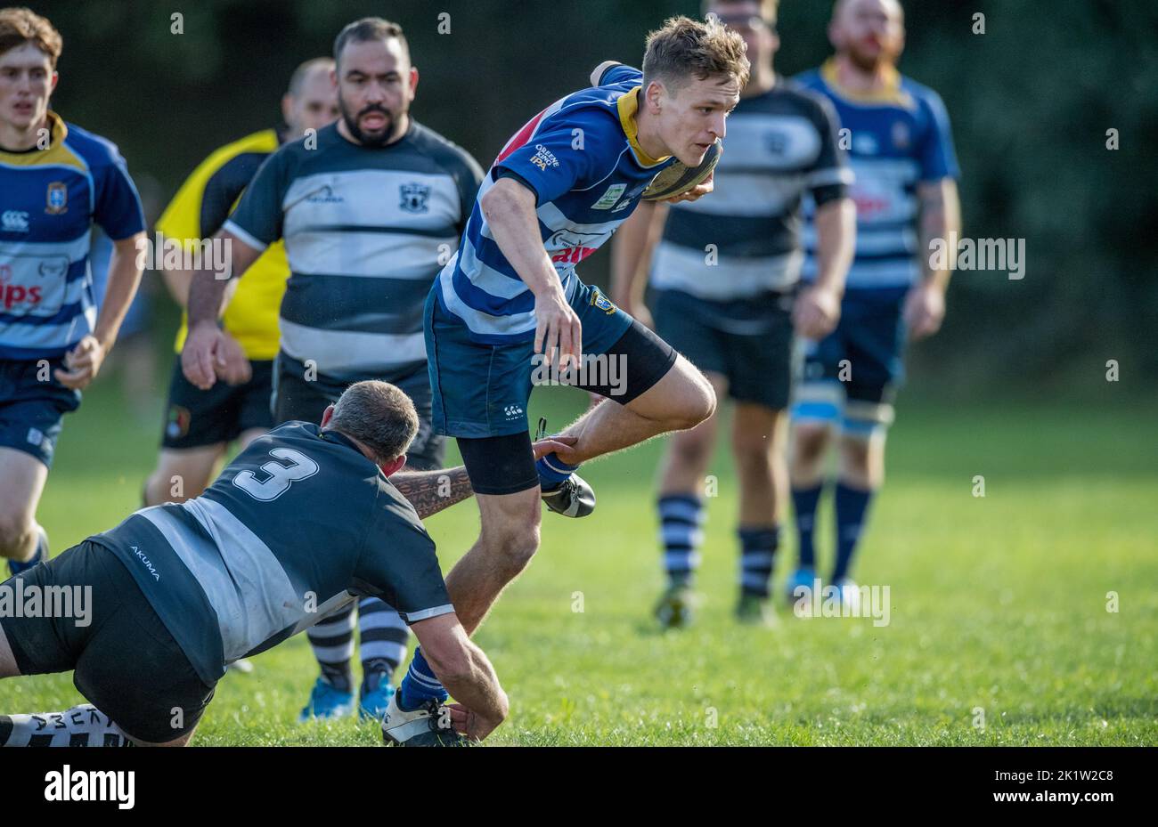 English amateur Rugby Union players playing in a league game. Stock Photo