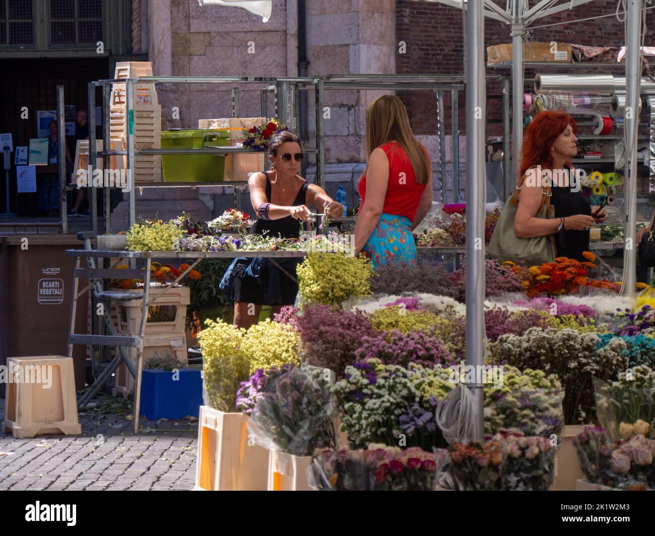 A young female customer talking to a seller at an open flower market in Cremona Stock Photo