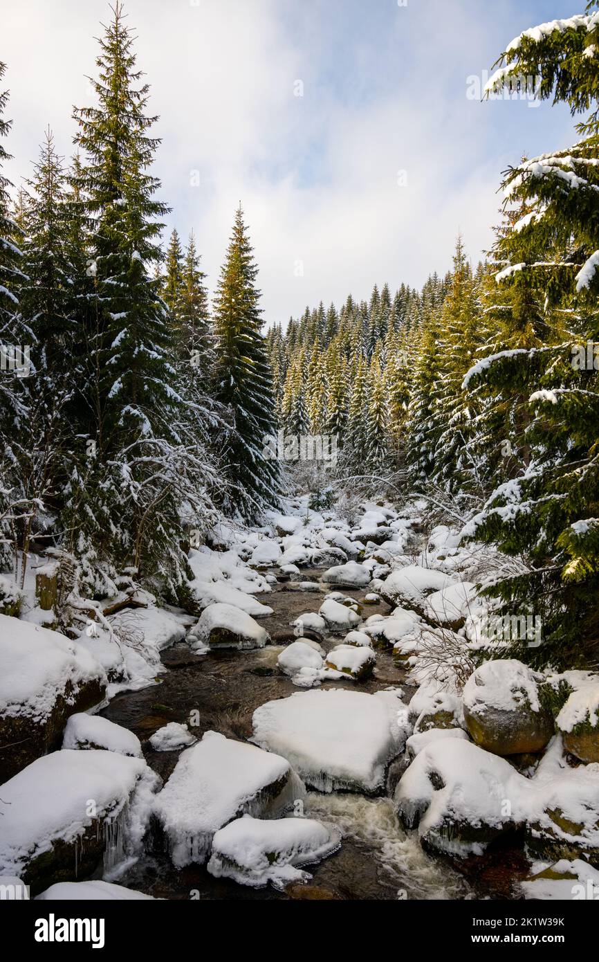 Sunny winter afternoon at Jizerka river full of boulders covered by snow. Jizera Mountains, Czech Republic Stock Photo