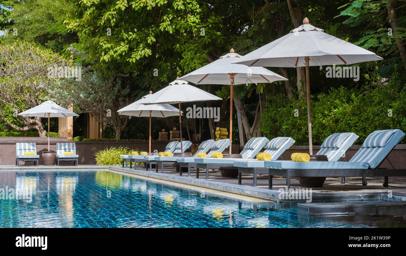 tropical pool with palm trees and beach bed chairs at a luxury resort ...