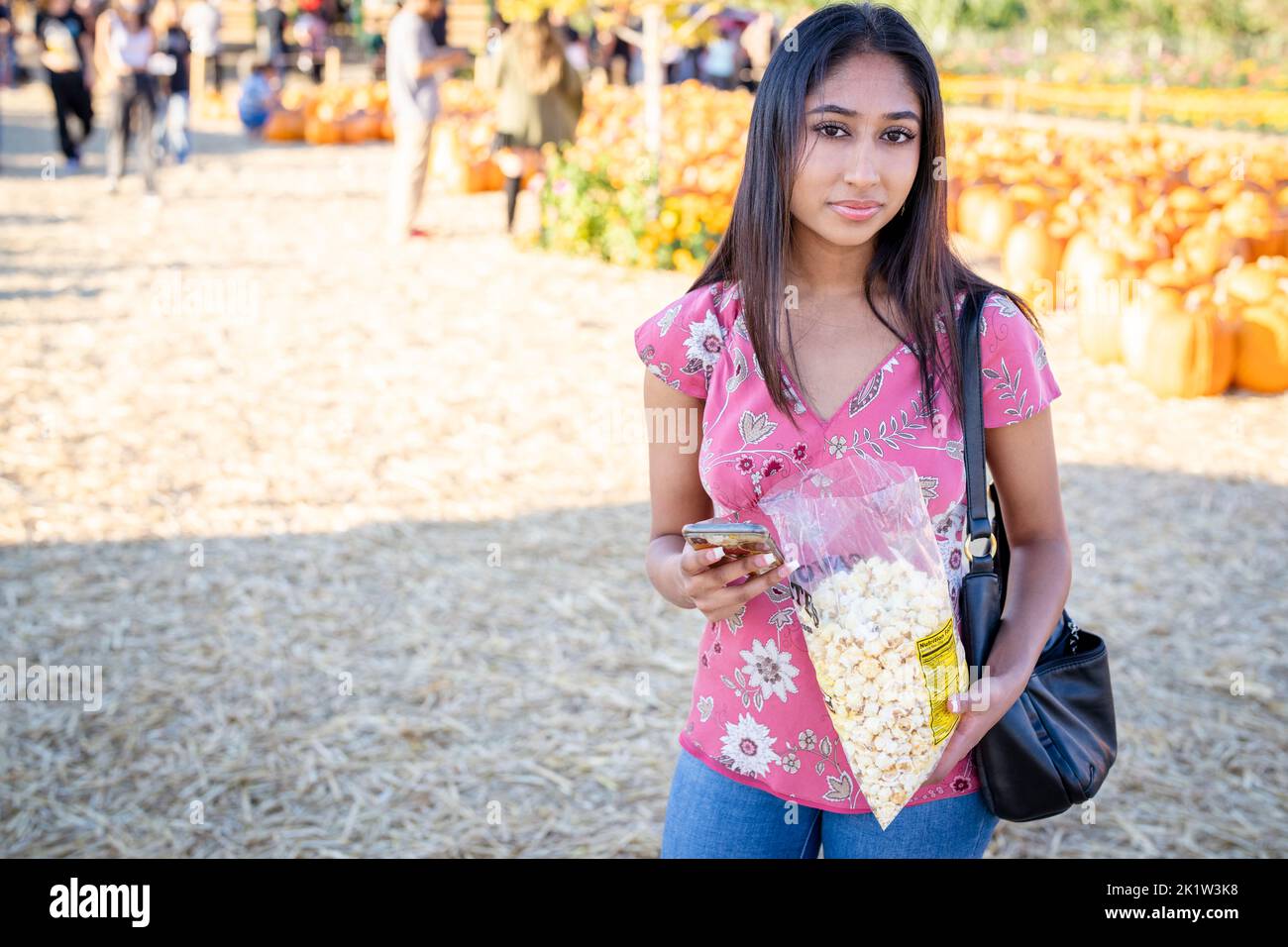 Fall Celebration Portrait of a Young Woman Eating Kettle Corn at a Pumpkin Farm while on Her Smart Phone Stock Photo