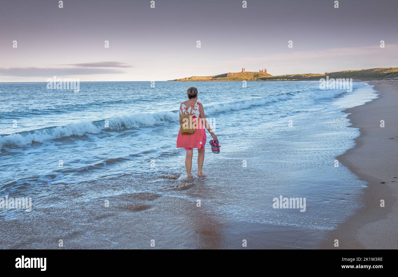 Female walking bare footed on the sea shore on Embleton beach with Bunstanburgh castle in the background. Stock Photo