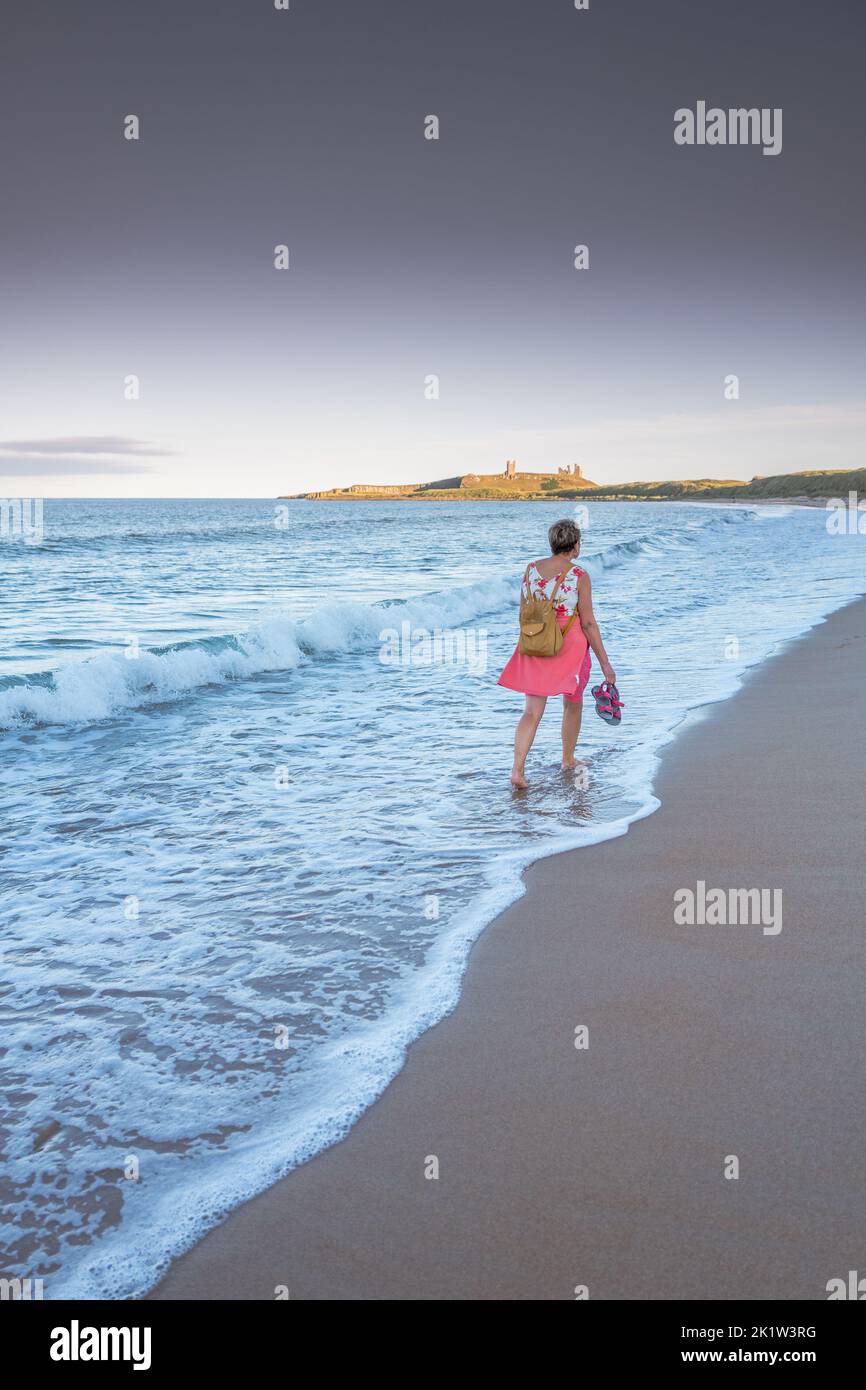 Female walking bare footed on the sea shore on Embleton beach with Bunstanburgh castle in the background. Stock Photo