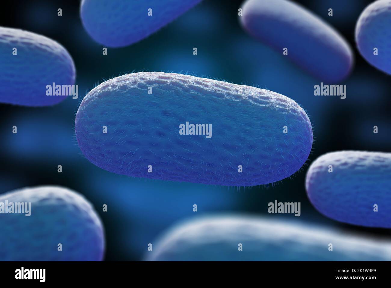 Microscopic view of bacillus bacteria. 3d illustration. Stock Photo