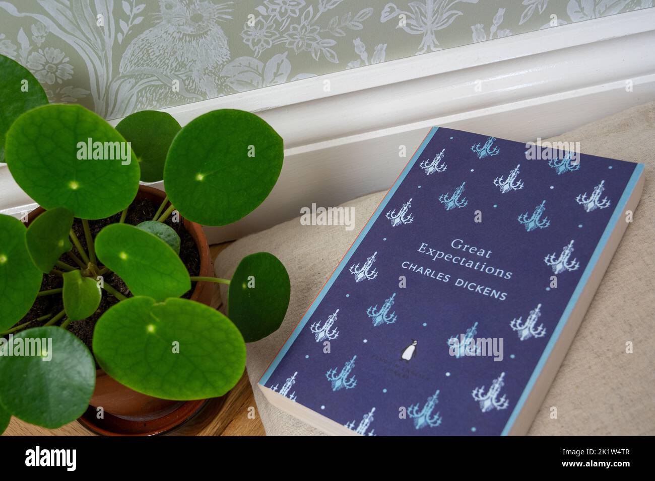 The book 'Great Expectations' by Dickens on a neutral floor cushion and a pilea plant in a pot beside Stock Photo