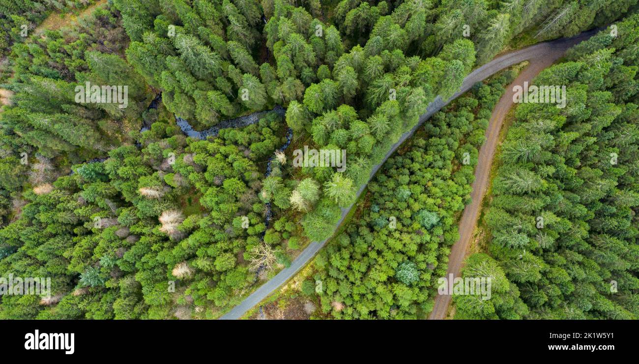 An aerial view of a beautiful forest Stock Photo - Alamy