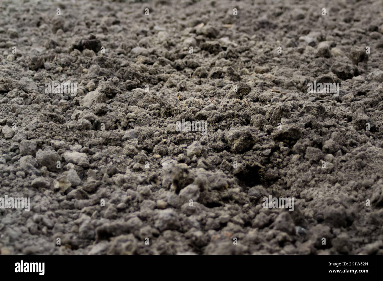 Defocus black land for plant background. Side view. Agriculture concept. Blurred. Copy space. Out of focus. Stock Photo
