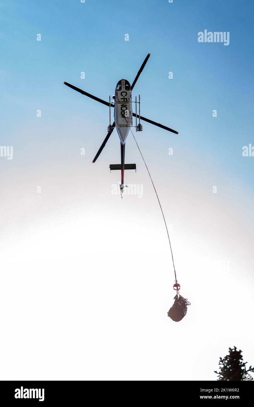 cargo-net-tea-hi-res-stock-photography-and-images-alamy