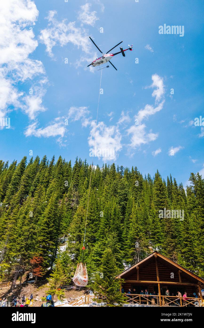 cargo-net-tea-hi-res-stock-photography-and-images-alamy