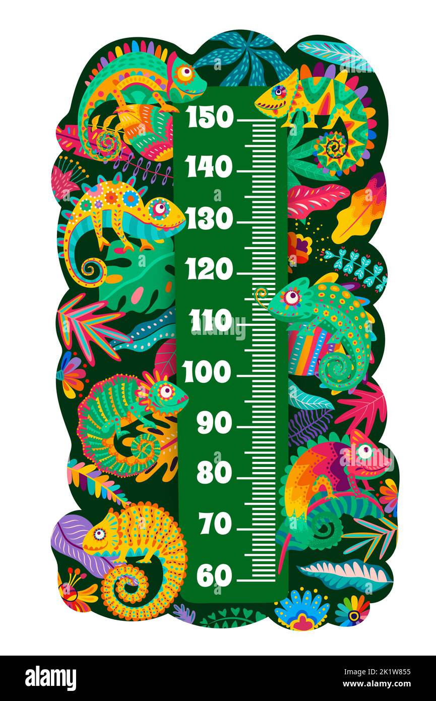 Mexican chameleon lizards on kids height chart. Child growth meter scale with color chameleons, lizard exotic animal, tropical palm plant leaves and f Stock Vector