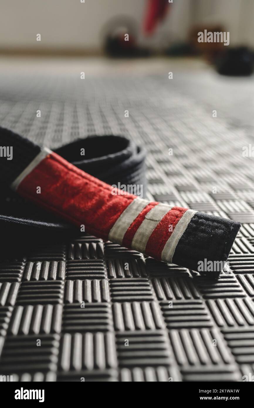 Bjj Black Belt Wallpaper Factory Price Myicfconnect